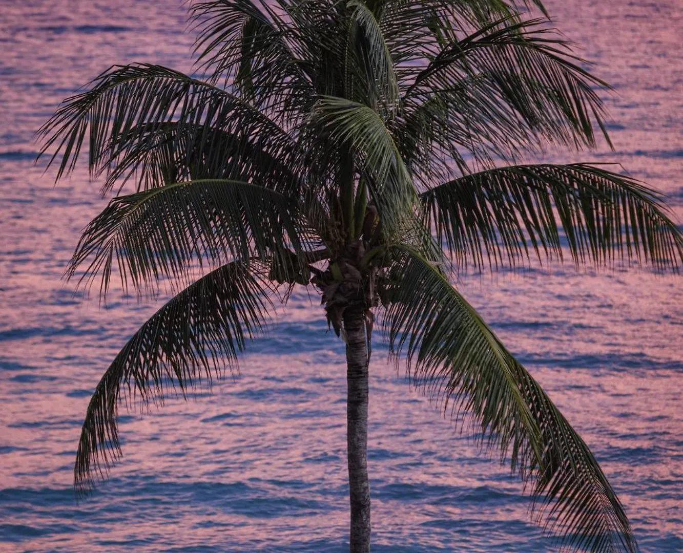 Sandals South Coast All Inclusive - Couples Only (Adults Only) Savanna-la-Mar 5*,